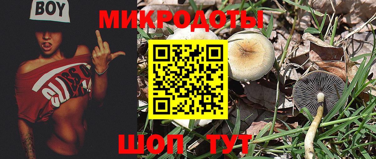 Галлюциногенные грибы MAGIC MUSHROOMS Ижевск
